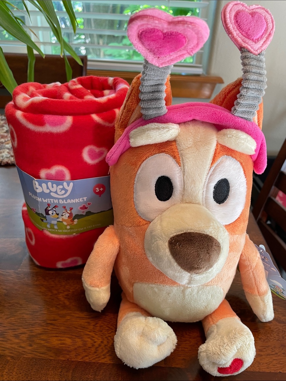 Bluey Bingo Valentines Themed Pillow and Plush Blanket